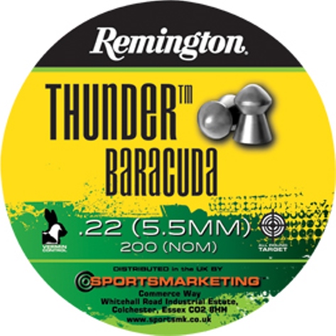 Remington .22 Calibre Air Gun Pellets